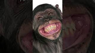 Could I Beat These Pokémon In A Fight? - Cherubi, Cherrim