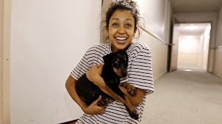 SURPRISING GIRLFRIEND WITH A PUPPY!!