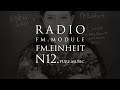 FM Модуль #12. Pure Music 3 | FM Einheit &amp; Erika Stucky