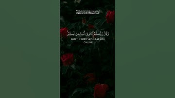 هدوء التلاوة استمع بقلبك واغمض عينك للتلاوة عبد الباسط #تلاوة_خاشعة