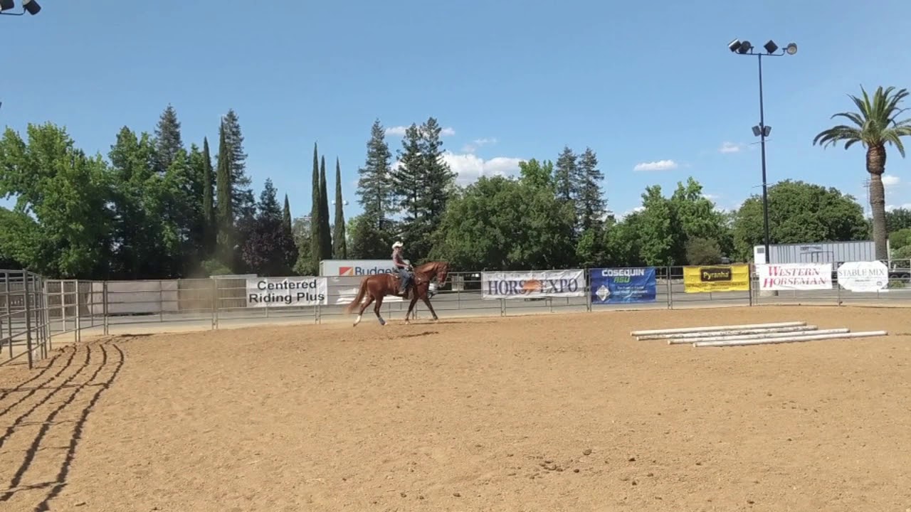 How to Ride A Gaited Horse and How to Fix A Pacey Horse Preview YouTube