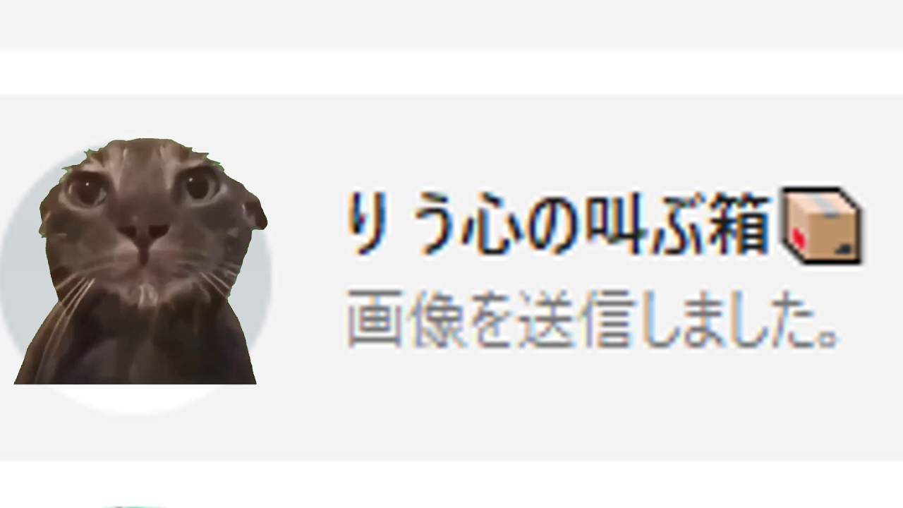 【猫ミーム】妻の車にGPSをつけた日【パート1】りう心の叫ぶ箱
