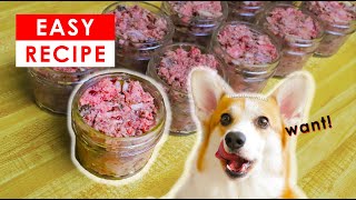 BEST HOMEMADE RAW DOG FOOD RECIPES  MADE EASY!!!