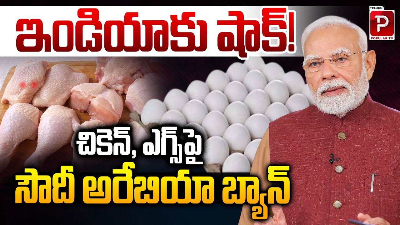 ఇండియాకు షాక్! India Faces Setback as Saudi Arabia Bans Chicken & Eggs Imports | Telugu Popular TV