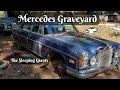 Mercedes 300 SEL 6.3  Graveyard.