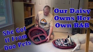 Our Daisy Owns Her Own B&B and She Got It From Duo Pets - GO PET B&B (BED & BREAKFAST) by Airstream Nerds 119 views 1 year ago 7 minutes