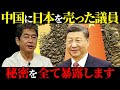 【佐藤尊徳】この人たち実は媚中・親中議員です！その実態を全て暴露します【山田敏弘】【政経電論TV】