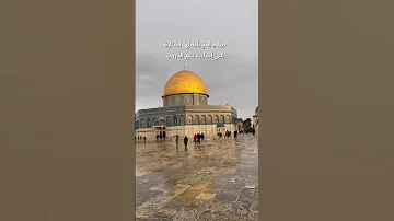 كل عام وأمة محمد بألف خير المولد النبوي الشريف Reels Love دعاء المولد النبوي الشريف 
