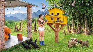 Building a Pigeon Coop from Scrap Wood, Harvesting Bamboo Shoots to Sell to Villagers