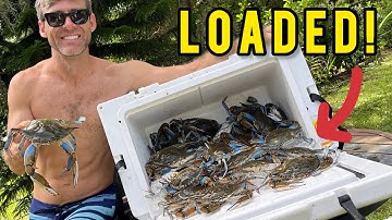 Crushed the Crabs!  5 Traps = 48 Crabs!!!  Blue Crabs and Shrimp on the St. John’s River
