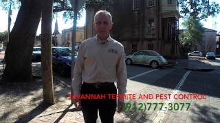 German Roaches Pest Control in Haunted Savannah-Savannah Termite and Pest Control