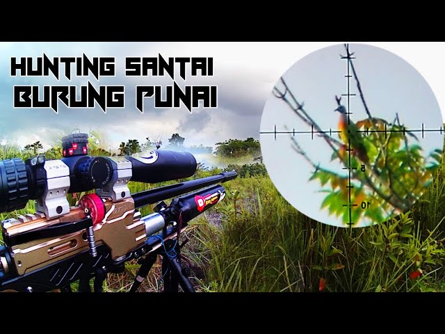 ❗CARA SAYA MENGISI WAKTU KOSONG/ BERBURU BURUNG PUNAI. HUNTING SANTAI class=