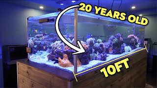 Exploring A STUNNING 20 Year Old, 10ft Saltwater Reef Tank in Melbourne, Australia!