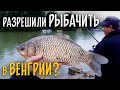 Разрешили рыбачить в Венгрии! Какие правила ловли рыбы?