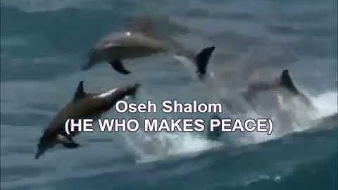 Thumbnail of Oseh shalom with lyrics - עושה שלום He who makes peace 他施行和平