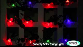 butterfly solar lights string