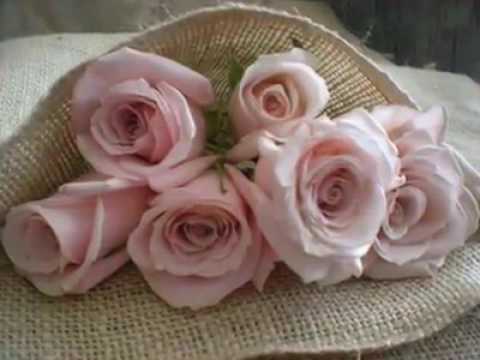 حبيبي لما يوعدني تبات الدنيا ضاحكالي السيدة Alaa Albakly 