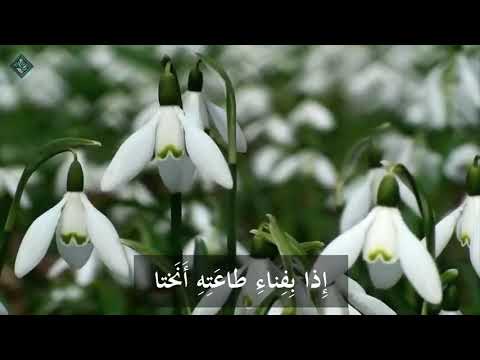 اجمل ماسمعت في النصح تائية الألبيري