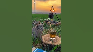 قرآن كريم بصوت هادي #اكسبلور