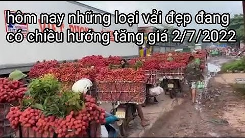 giá vải các loại ở ngã ba xã Tân hoa 2/7/2022