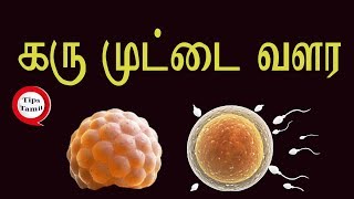 கருமுட்டை வளர / karu muttai valara