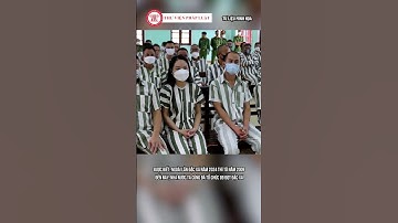 Tổng Bí thư, Chủ tịch nước Tô Lâm đặc xá cho 3.763 phạm nhân | THƯ VIỆN PHÁP LUẬT