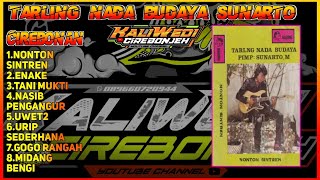 SUNARTO NONTON TARLING - LEGEND TARLING NADA BUDAYA CIREBONAN