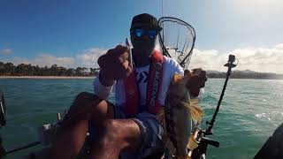 Kayak Fishing for California Halibut