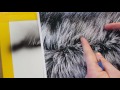 The Airbrush Academy Guide to Airbrushing Realistic Fur