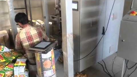 Automatic Multihead VFFS machine with bucket elevator