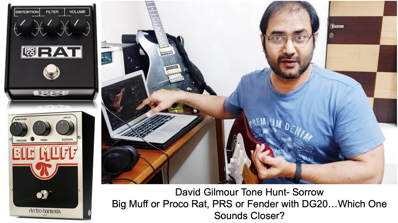 David Gilmour Sorrow Tone Tutorial Big Muff or Proco Rat Fender DG20 or PRS?
