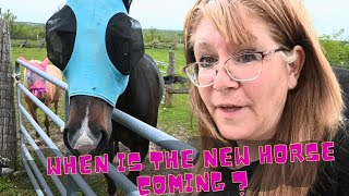 When Is The New Horse Coming And Where Is She Going To Stay?