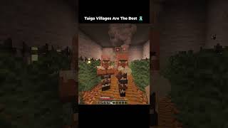 POV: You found the best Minecraft Taiga Village ❄️ #minecraft