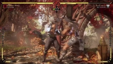 Flawless Block Combos "Lui Kang"