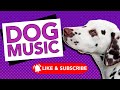 20 HOURS of Deep Sleeping Relaxing Dog Music!