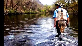 TROUT SPOTTING-FLY FISHING