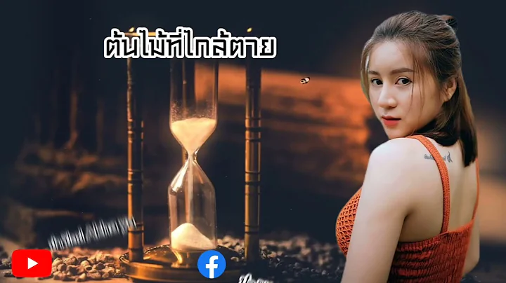 เพลง ต้นไม้ที่ใกล้ตาย - ตุ๊กตา จมาพร  เครดิต ดอยแม่สลอง สื่อสังคมออนไลน์