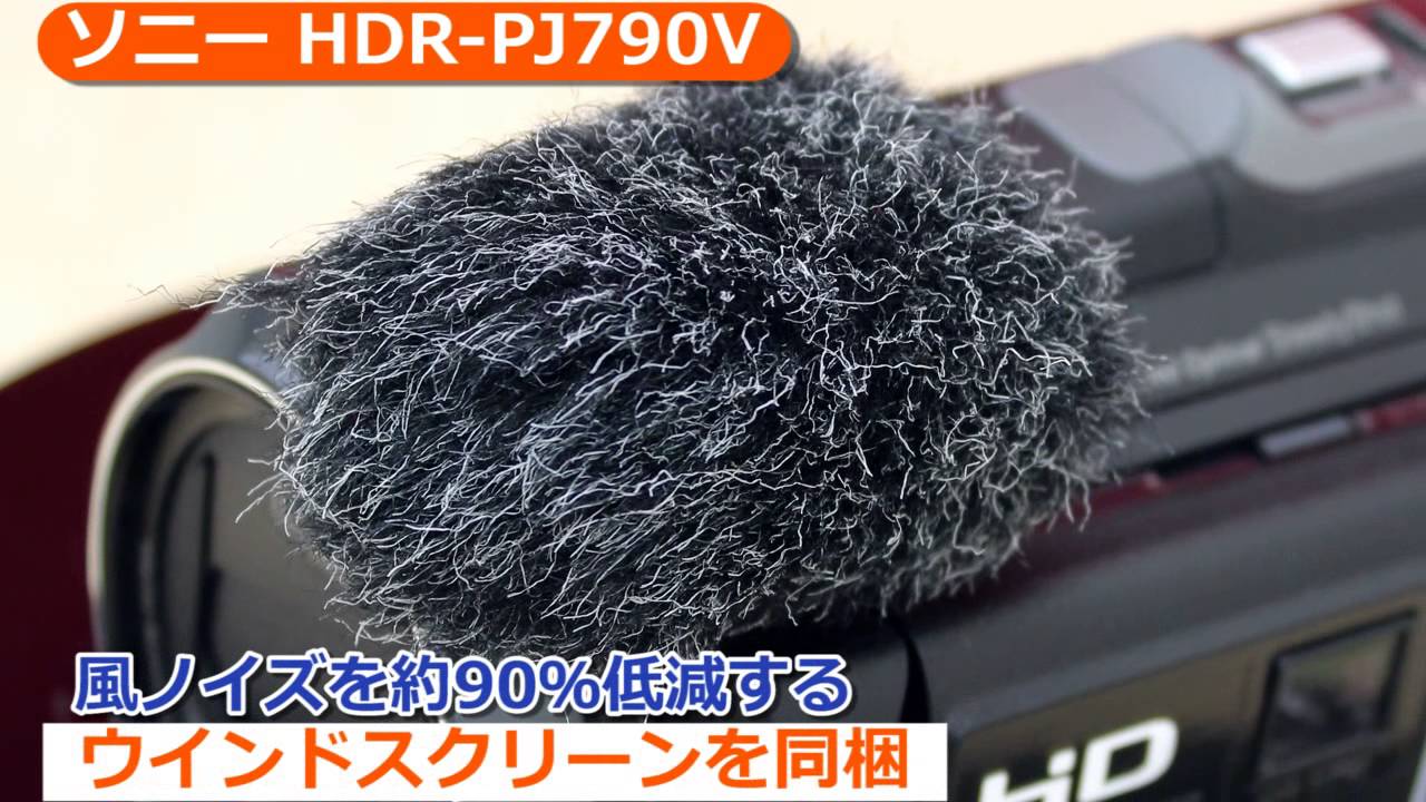 ソニー HDR-PJ790V(カメラのキタムラ動画_Sony)