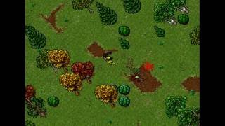 Life of a free (Tibia) cap 3: banana quest