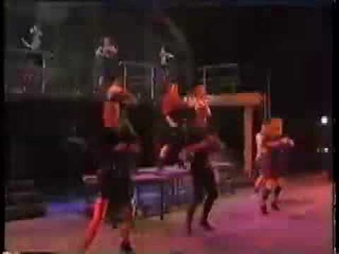 ZELDZAAM DE MUSICAL - WE DOEN HET WEL ZELLUF