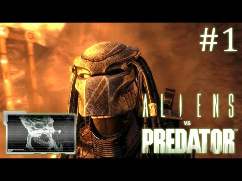 Видео: Aliens versus Predator 2010 // За хищника // Часть 1