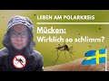 🇸🇪 Schweden: Wie schlimm sind die Mücken im Sommer?