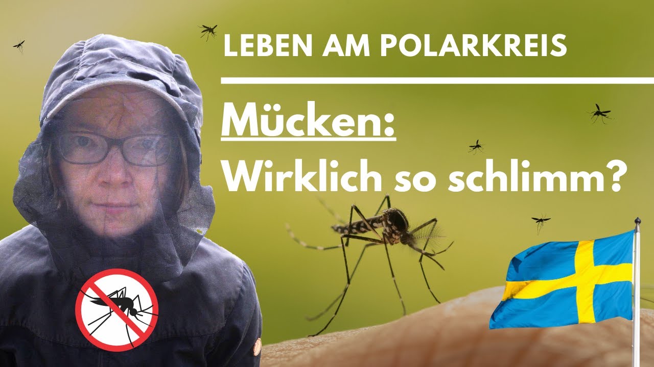 Darum „MÜSSEN“ gerade Narzissten FREMDGEHEN. Deren ideale Beziehung: OFFEN. Aber NUR für SIE