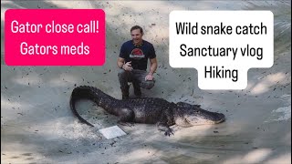 Gator close call!! Crazy vlog today!