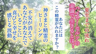 神様と精霊によるヒーリング✨ハイヤーセルフの意識とは?夏至までの流れ