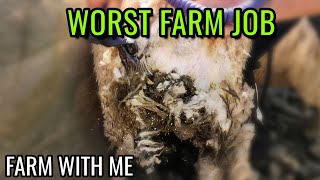 Dirtiest Job On The Farm