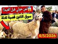 مباشرة من سوق الاتنين قصبة تادلة 4 5 2026 مع التمن الحولي و خروف و حولية العيد