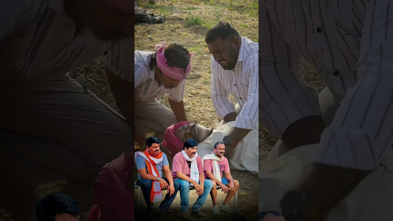 बापाचं प्रेम शब्दांत नाही… हा शेवट पाहून डोळे पाणावतील 😢❤️ | वारसा #Shorts #fathersday