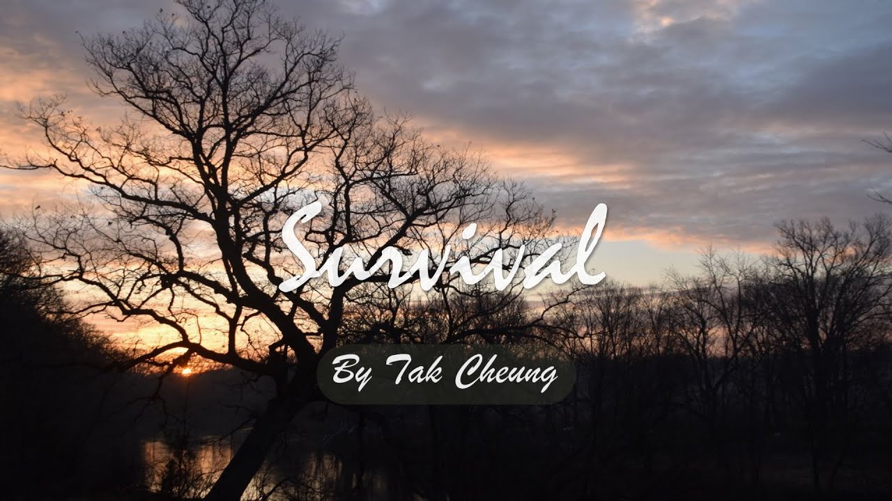 SURVIVAL.  Poem with narratives and text