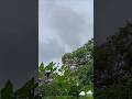 Nature Cloud ☁️🌨️😦🌨️#shortfeed #trending #nature #clouds #ytviralshort